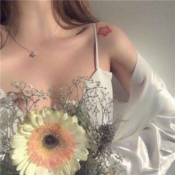 火狐官网app下载